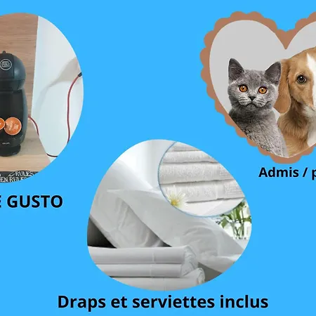 Bel T2 Climatisé Avec Piscine Poitiers-futuroscope-creps De Poitiers *