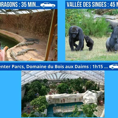 Bel T2 Climatise Avec Piscine Poitiers-futuroscope-creps De Poitiers